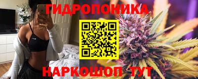 ALPHA PVP Пушкино