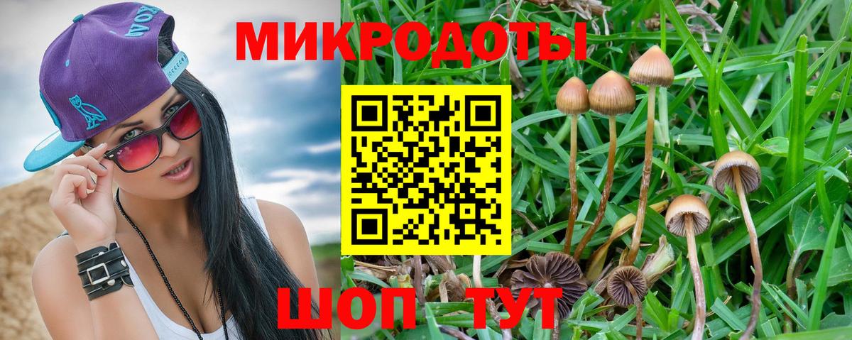 Псилоцибиновые грибы ЛСД  Вход с VPN  Галлюциногенные грибы Psilocybe  Советск 