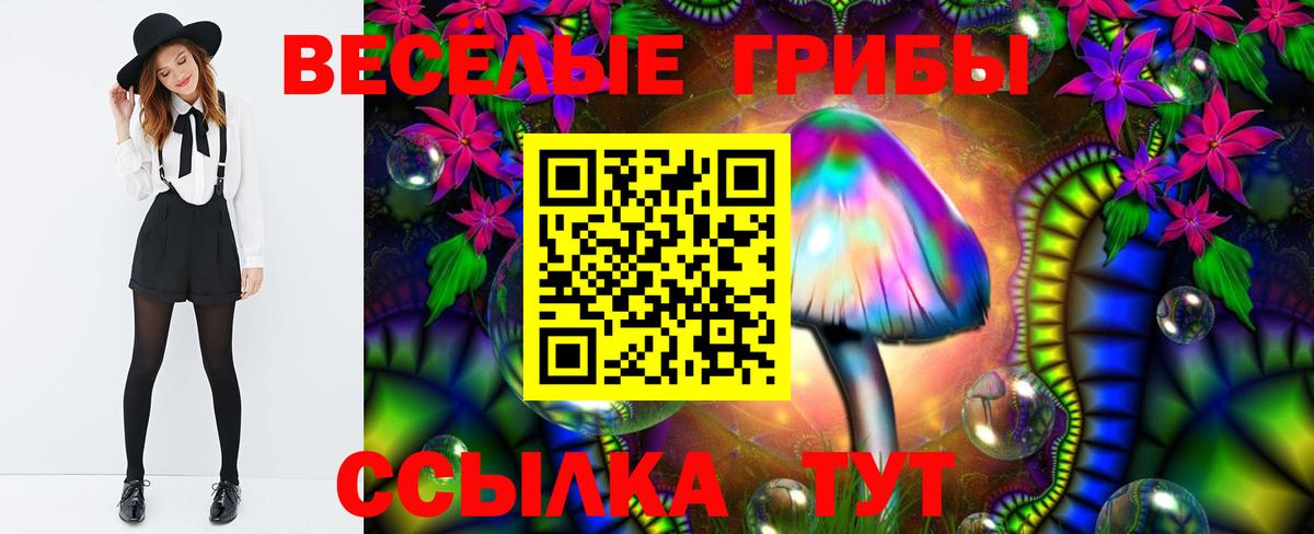 Галлюциногенные грибы Psilocybine cubensis Советск