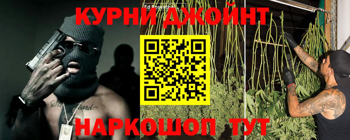 Советск  Каннабис сатива  Бошки марихуана гибрид  Канабис план  Вход с VPN 